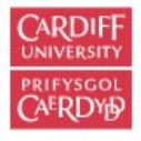 Cardiff University Red Dragon International Scholarships in UK